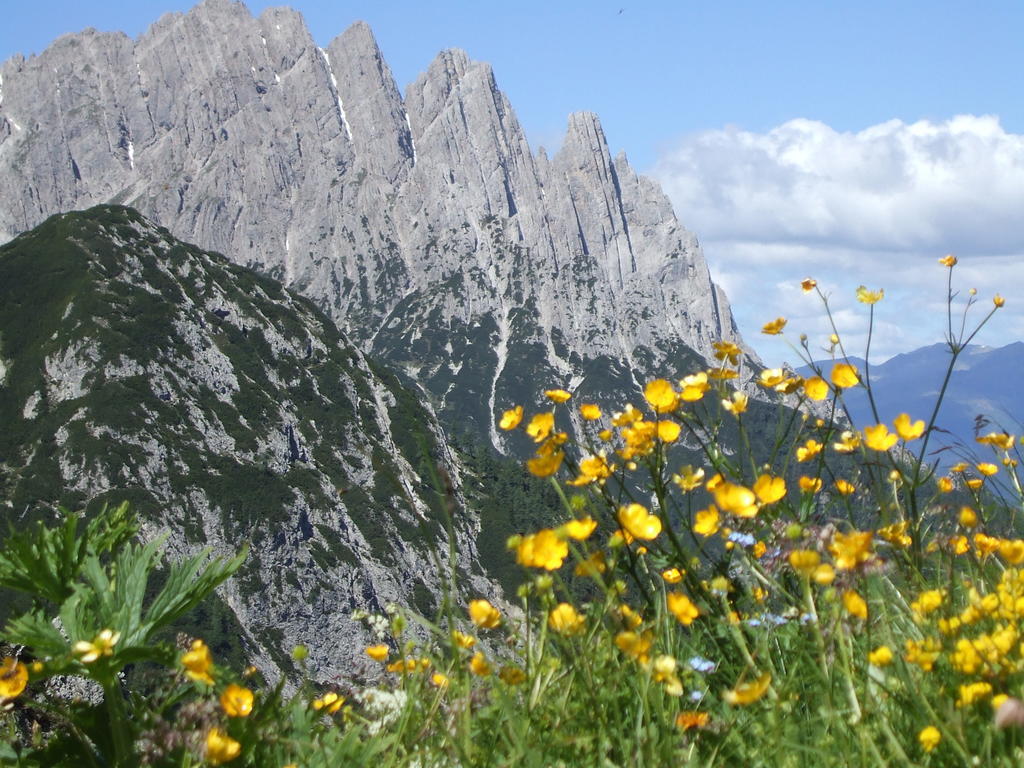 Apartament Obergollerhof